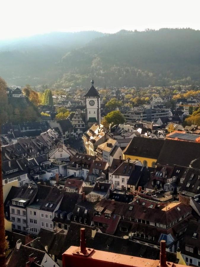 City Penthouse Mit Dachterrasse Freiburg im Breisgau Luaran gambar